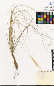 SW_BNB_s3020-00085_IMG-0000000001
