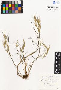 SW_BNB_s3020-00086_IMG-0000000001