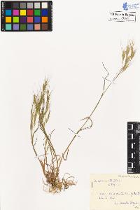 SW_BNB_s3020-00089_IMG-0000000001
