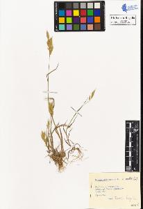 SW_BNB_s3020-00091_IMG-0000000001