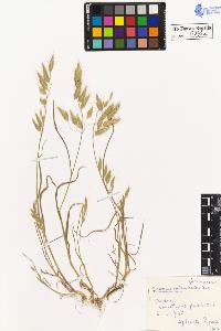 SW_BNB_s3020-00095_IMG-0000000001