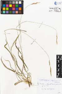 SW_BNB_s3020-00096_IMG-0000000001