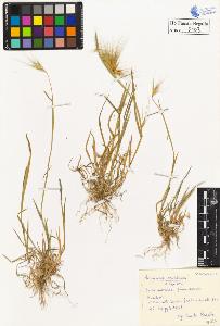 SW_BNB_s3020-00106_IMG-0000000001