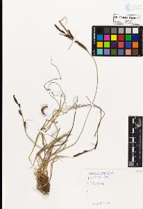 SW_BNB_s3020-00123_IMG-0000000001