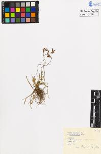 SW_BNB_s3020-00125_IMG-0000000001