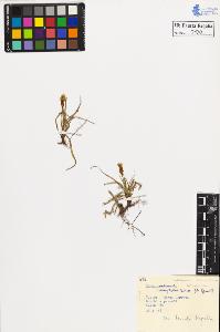 SW_BNB_s3020-00133_IMG-0000000001