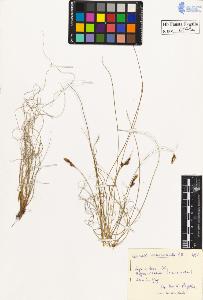 SW_BNB_s3020-00144_IMG-0000000001
