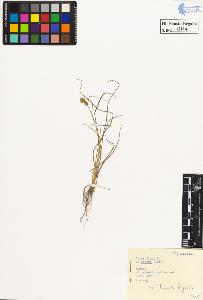 SW_BNB_s3020-00147_IMG-0000000001