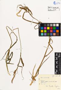 SW_BNB_s3020-00148_IMG-0000000001