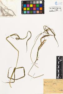 SW_BNB_s3020-00149_IMG-0000000001