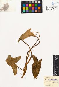 SW_BNB_s3020-00153_IMG-0000000001