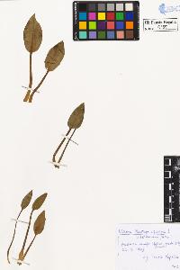 SW_BNB_s3020-00158_IMG-0000000001