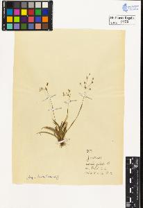 SW_BNB_s3020-00161_IMG-0000000001
