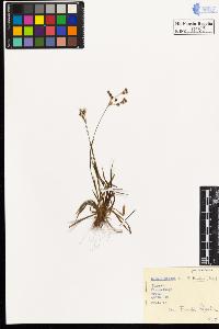 SW_BNB_s3020-00162_IMG-0000000001