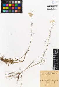 SW_BNB_s3020-00166_IMG-0000000001