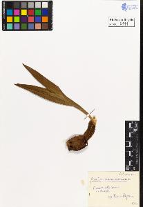 SW_BNB_s3020-00174_IMG-0000000001