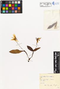 SW_BNB_s3020-00176_IMG-0000000001