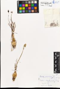 SW_BNB_s3020-00185_IMG-0000000001