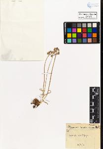 SW_BNB_s3020-00186_IMG-0000000001
