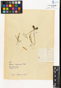 SW_BNB_s3020-00187_IMG-0000000001