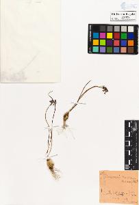 SW_BNB_s3020-00188_IMG-0000000001