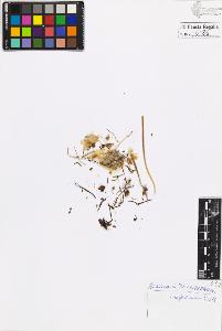SW_BNB_s3020-00189_IMG-0000000001