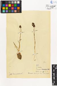 SW_BNB_s3020-00191_IMG-0000000001