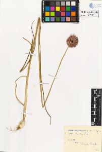 SW_BNB_s3020-00193_IMG-0000000001