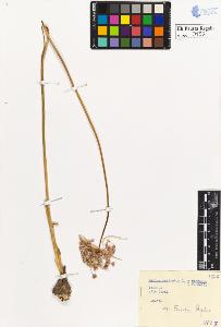SW_BNB_s3020-00195_IMG-0000000001