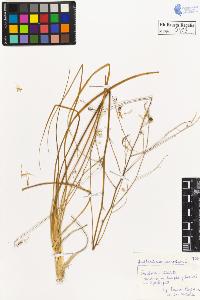 SW_BNB_s3020-00196_IMG-0000000001