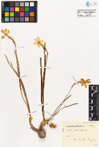 SW_BNB_s3020-00204_IMG-0000000001