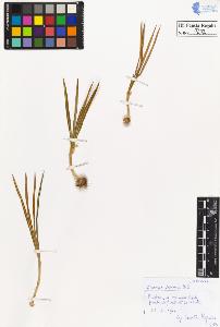 SW_BNB_s3020-00205_IMG-0000000001