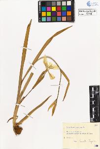 SW_BNB_s3020-00207_IMG-0000000001