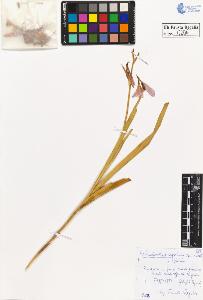 SW_BNB_s3020-00209_IMG-0000000001