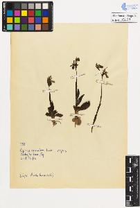 SW_BNB_s3020-00210_IMG-0000000001
