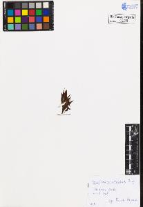 SW_BNB_s3020-00212_IMG-0000000001