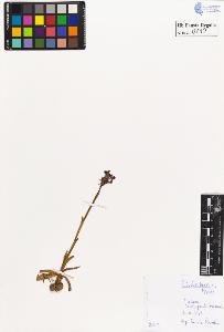 SW_BNB_s3020-00213_IMG-0000000001