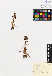 SW_BNB_s3020-00214_IMG-0000000001