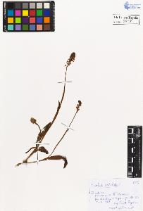 SW_BNB_s3020-00215_IMG-0000000001