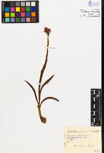 SW_BNB_s3020-00216_IMG-0000000001