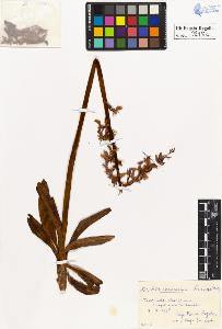 SW_BNB_s3020-00221_IMG-0000000001