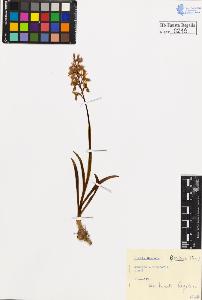 SW_BNB_s3020-00222_IMG-0000000001
