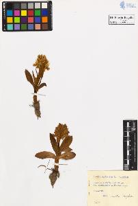 SW_BNB_s3020-00224_IMG-0000000001