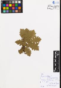 SW_BNB_s3020-00242_IMG-0000000001