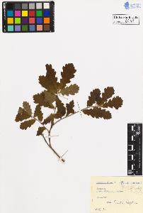 SW_BNB_s3020-00244_IMG-0000000001