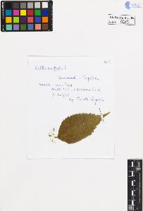 SW_BNB_s3020-00248_IMG-0000000001