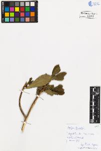 SW_BNB_s3020-00251_IMG-0000000001