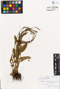 SW_BNB_s3020-00260_IMG-0000000001