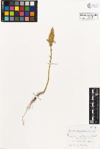 SW_BNB_s3020-00261_IMG-0000000001