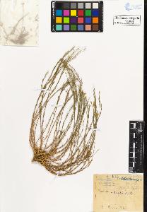 SW_BNB_s3020-00262_IMG-0000000001